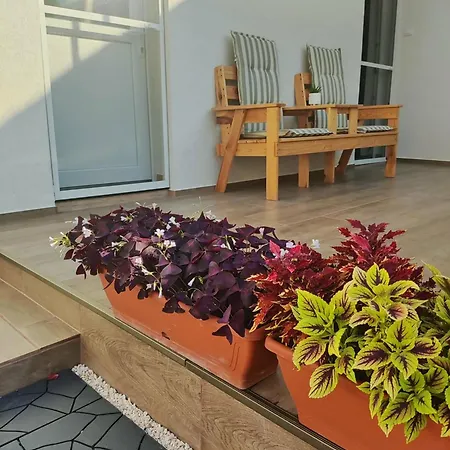 Appartamento B30 Apartmanok, Eger